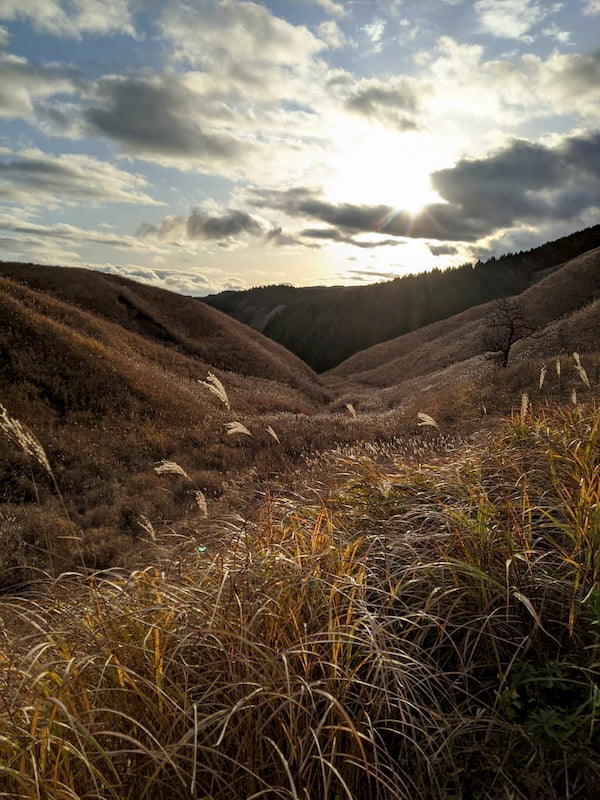View down a valley as the sun goes down, with grasses in the foreground