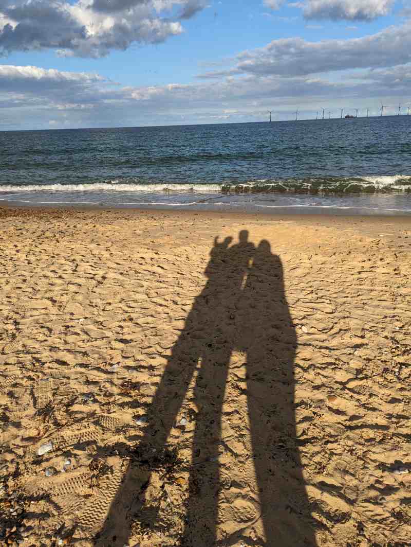 Two large and one small human shadows are cast on a beach. In the sea are wind turbines. The small one has their hand raised in a wave.