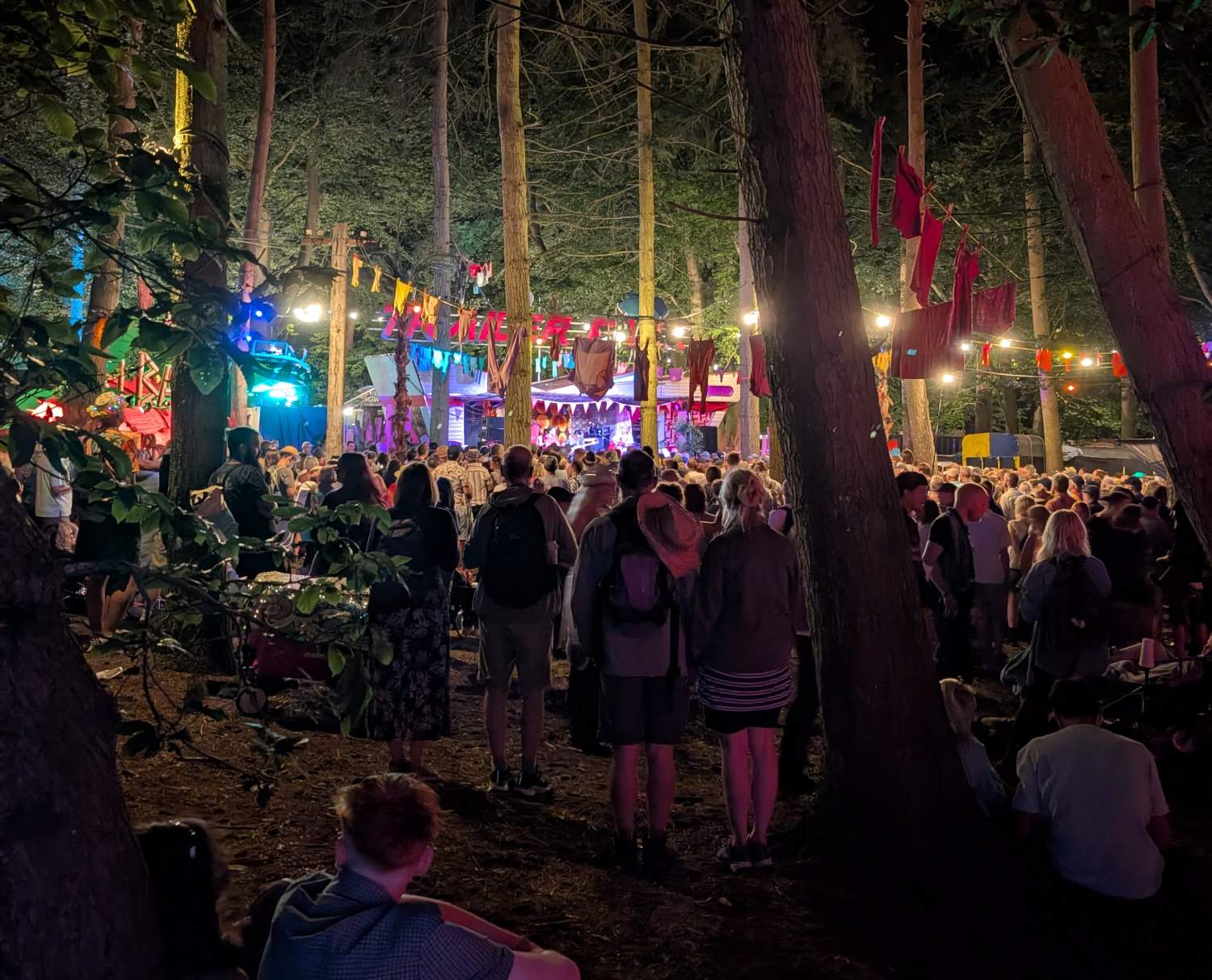 A night scene, looking through trees, hung up washing lines, and string lighs at a stage. There are a lot of people's heads in front.