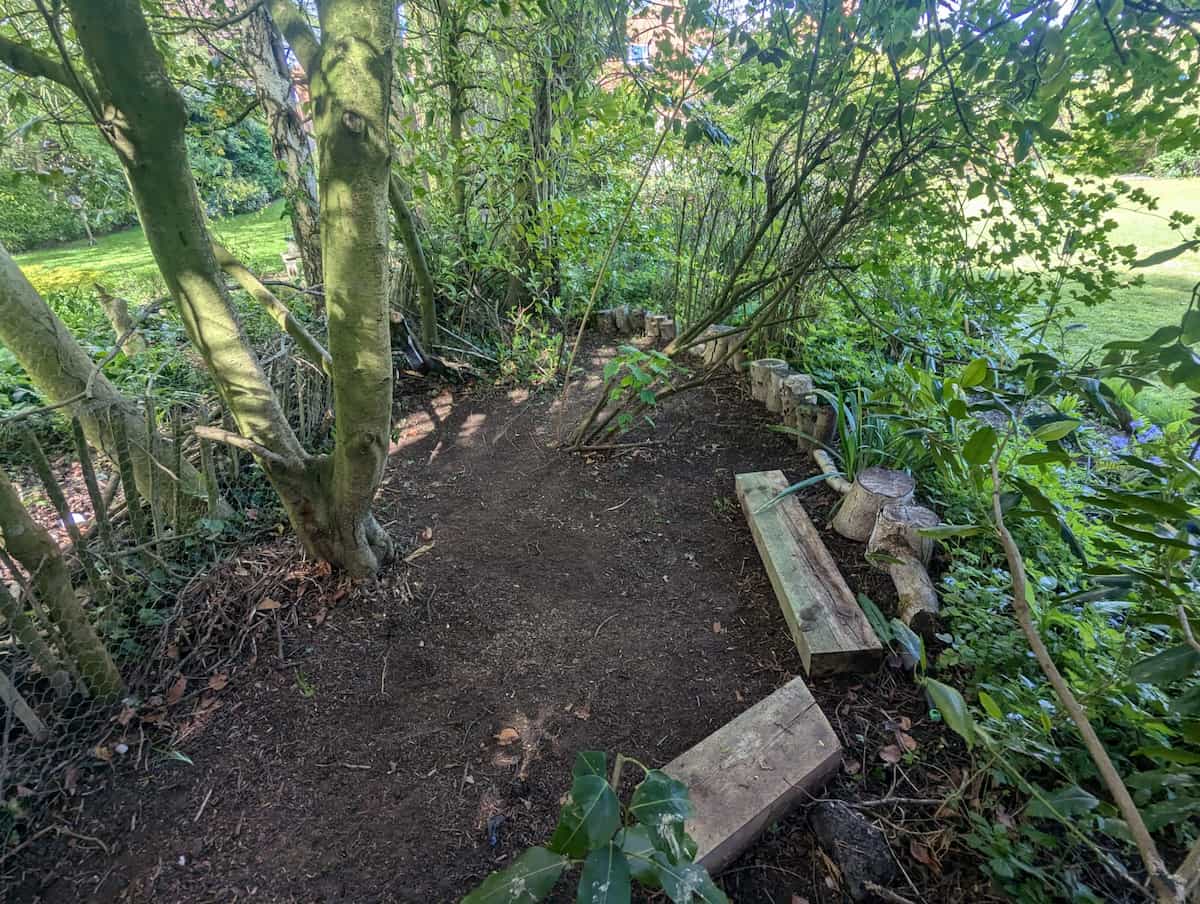 A shady area at the back of a border, with freshly tidied up dirt floor