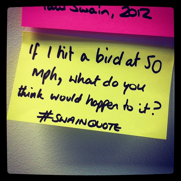 Swain on bird murder